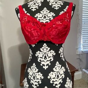 32DD Fredericks of Hollywood lace bra. Red